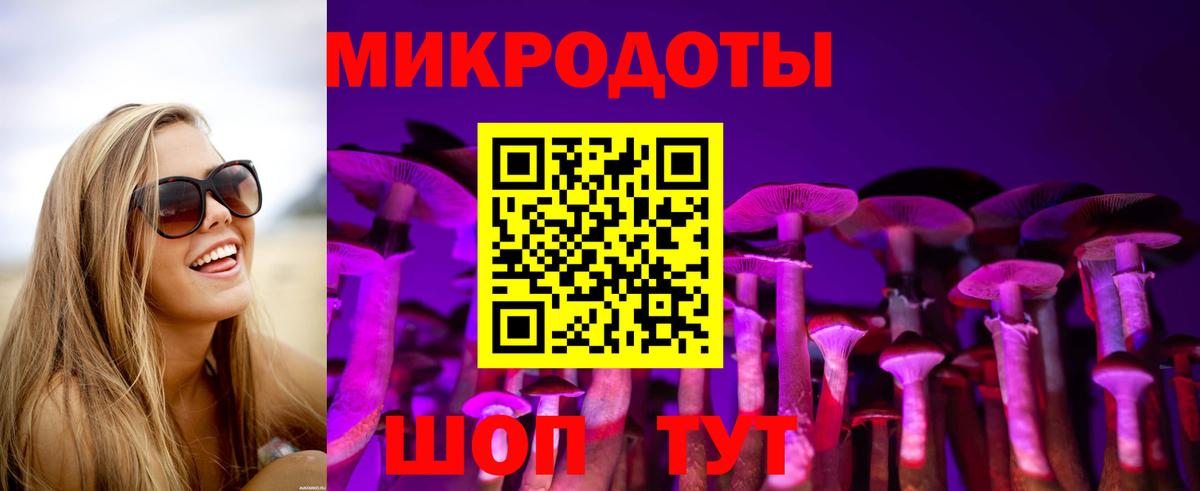 Псилоцибиновые грибы Psilocybine cubensis Медногорск